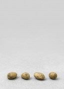 still.life. (four big potatoes in a line) | UGO RONDINONE
