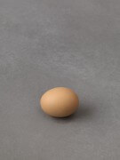 still.life. (one egg) | UGO RONDINONE